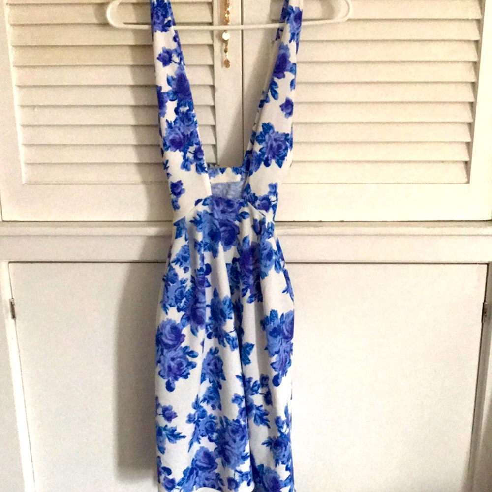 Low Cut Rose Dress